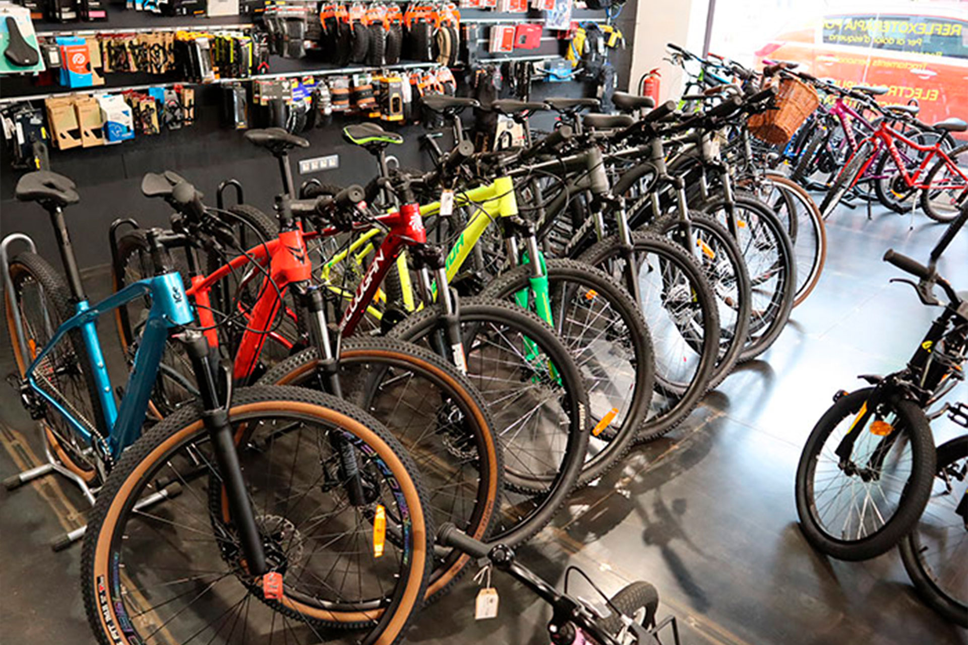 Drago Bikes